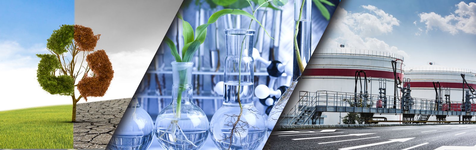 Etudes Environnementales