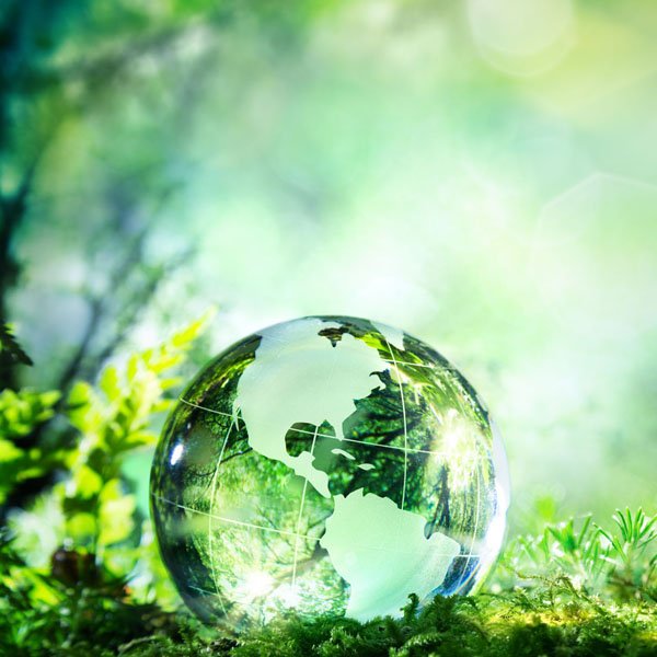 Analyse environnementale initiale