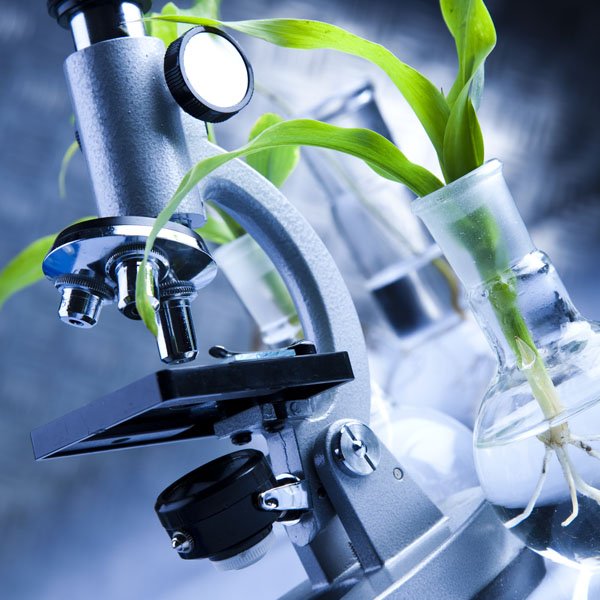 Analyse des paramètres environnementaux