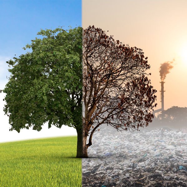 Étude d’impacts environnemental et social (EIES)